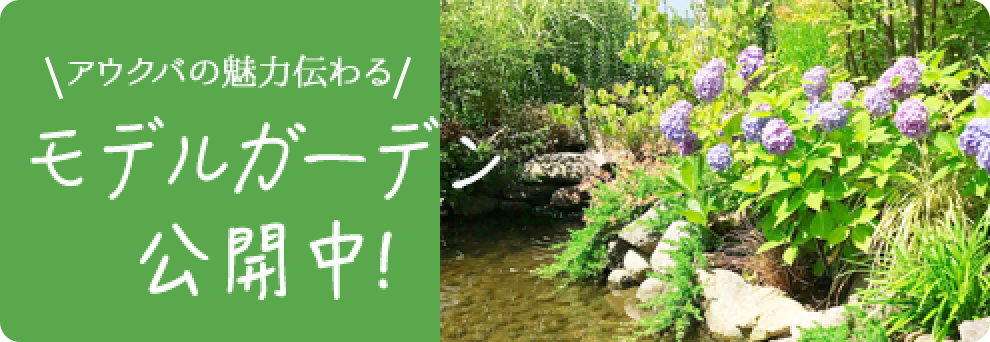 モデルガーデン公開